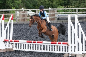 Class 2 -  Fences not above 2'